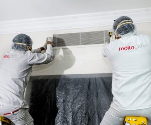 ac mold cleaning in dubai