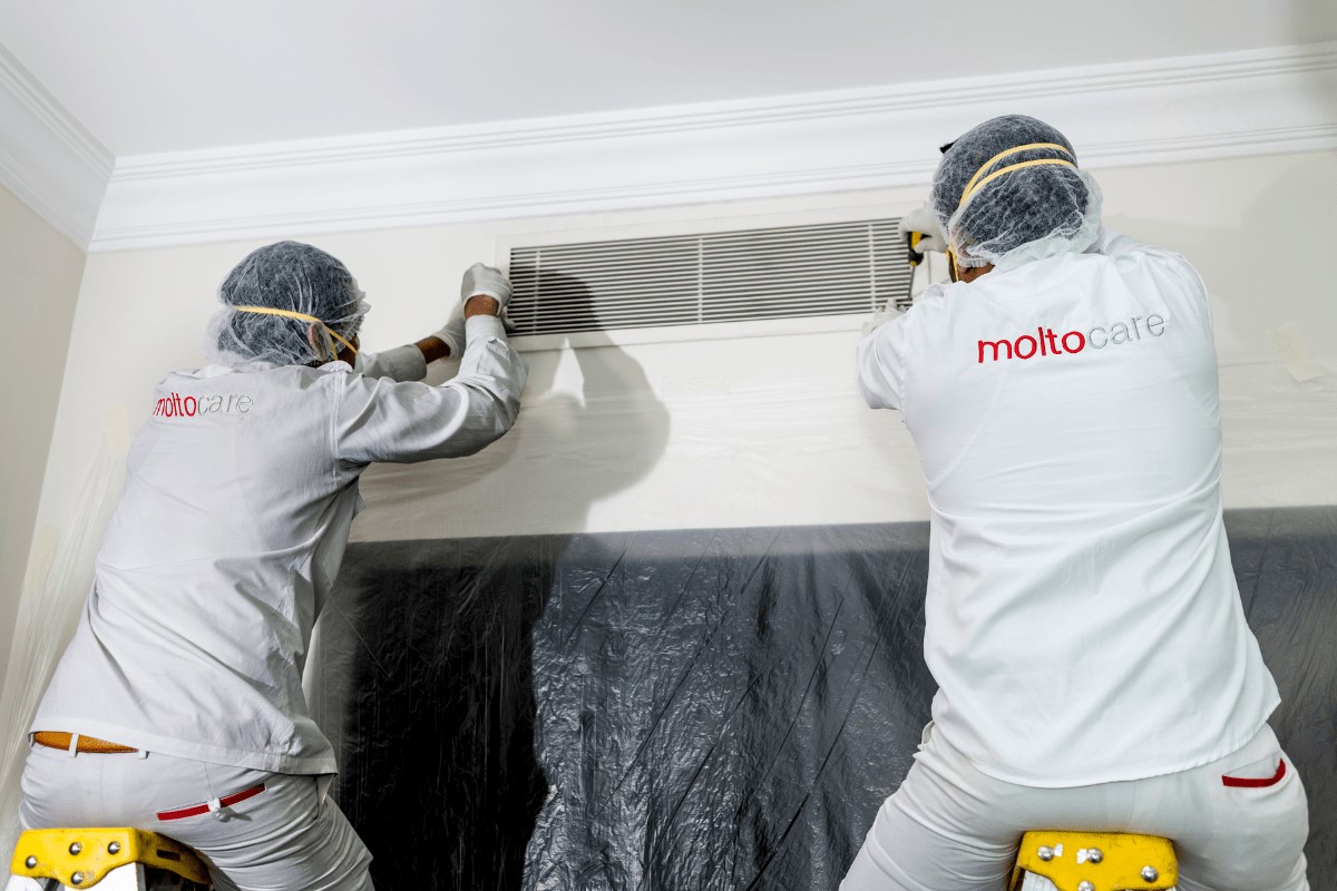 ac mold cleaning in dubai