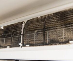 ac mold cleaning in dubai