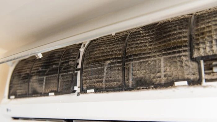ac mold cleaning in dubai