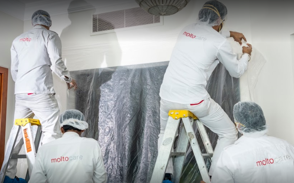 AC Mold Cleaning in Dubai